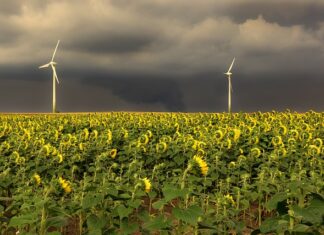 W jakiej kolejności stosować Pielęgnacje?