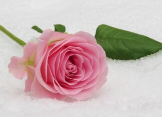 W czym chłopcy idą do komunii?