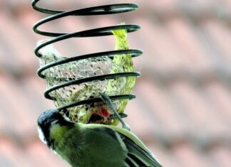 Jak sprawdzić czy mam dość pokarmu?