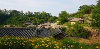 Co zamiast płytek w kuchni tanio?