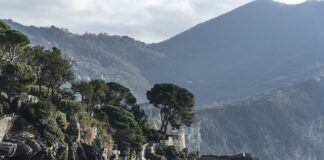 Ile kosztuje najtańszy gokart?