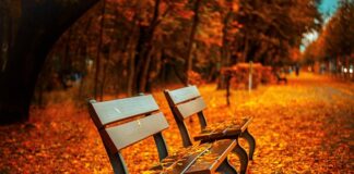 Od jakiego wzrostu dziecko może siedzieć z przodu?