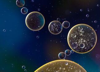 Ile można przeżyć na samej wodzie?