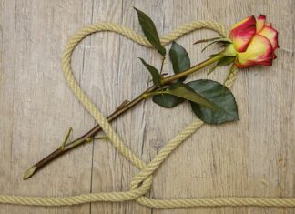 Czy olej konopny to to samo co CBD?