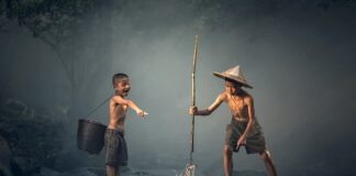 Po czym poznać że rybom brakuje tlenu?