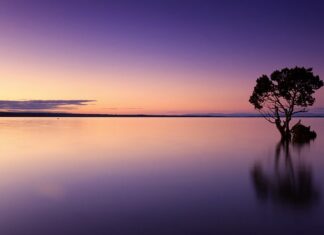 Jak zrobić wodę smakową w domu? Jak zrobić wodę smakową w domu?