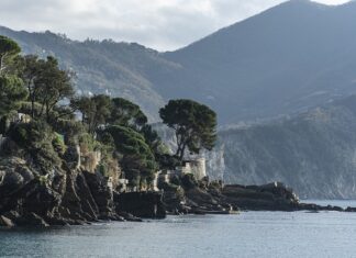 Ile kosztuje kilogram nasion chia?