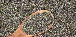 Ile nasion konopi dziennie?