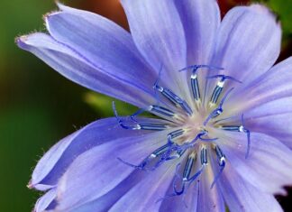 Jaki zamiennik mleka jest najzdrowszy? Jaki zamiennik mleka jest najzdrowszy?