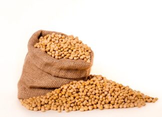 Czy soja wpływa na hormony?