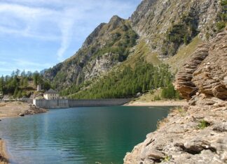 Kto nie powinien zażywać CBD?