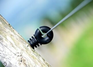 Ile procent Polaków pije piwo?