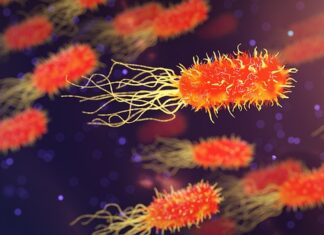 W jakich godzinach organizm najlepiej wypoczywa?