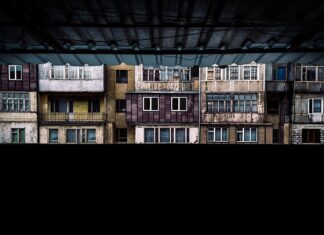 Kto stworzył Arizone? Kto stworzył Arizone?