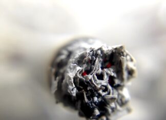 Co grozi za wykrycie marihuany w organizmie?