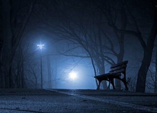 Jaki jest polski napój?