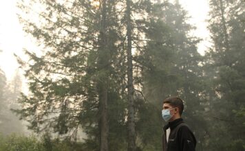 Jak skutecznie pozbyć się pasożytów z organizmu?