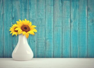 Czy słonecznik podnosi ciśnienie?